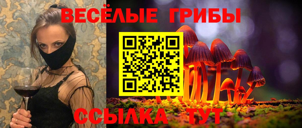 Галлюциногенные грибы Magic Shrooms  Псилоцибиновые грибы GOLDEN TEACHER  Нефтекамск  Вход с VPN 